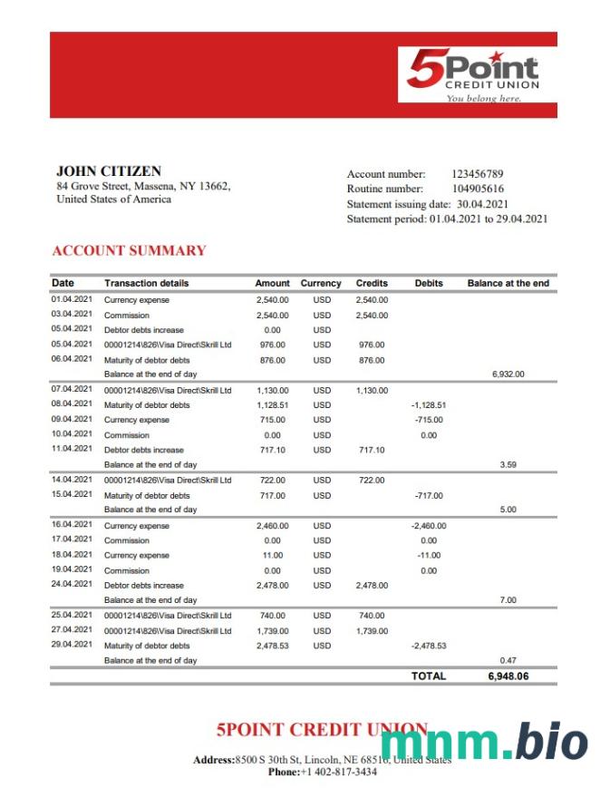 Szablon wyciągu bankowego USA Tennessee First Horizon w programie Word i PDF